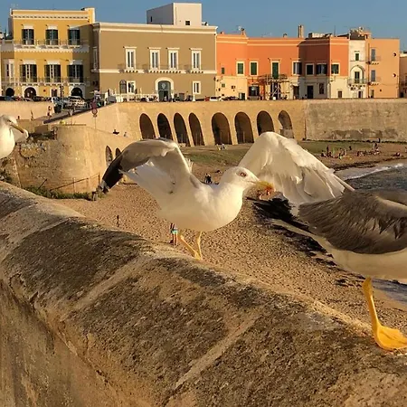 Lido San Giovanni, Via Volta *